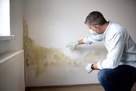 Best Airborne Mold Testing  in Weaver, AL